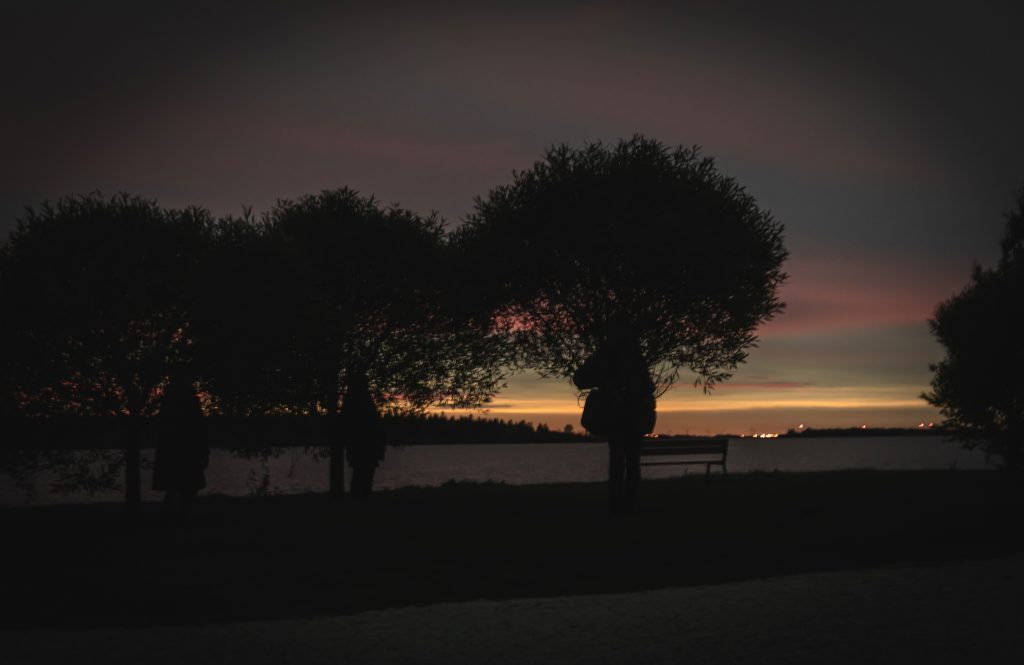 Kolmen ihmisen tummat siluetit kolmen puun hahmoihin sulautuneena, taustalla auringonlaskun viime värit meren yllä